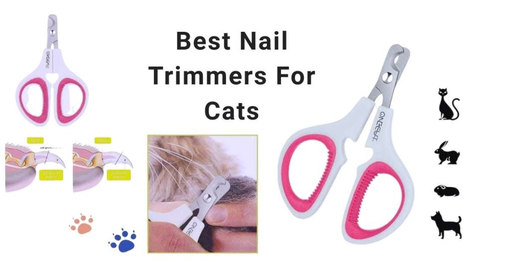 Best Nail Trimmers For Cats